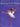 Dancing in the Wings by Debbie Allen and Kadir Nelson - Peabody Book Emporium#book##bookstore##used_bookstore##independent_bookstore##Used_books##new_books#
