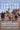 COMPTON COWBOYS 