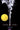 Looking for Alaska 